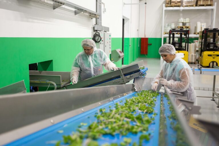 Équipe travaillant ensemble dans un atelier de production alimentaire